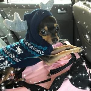 Meet your Posher, Carolina